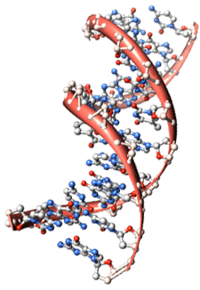 DNA image